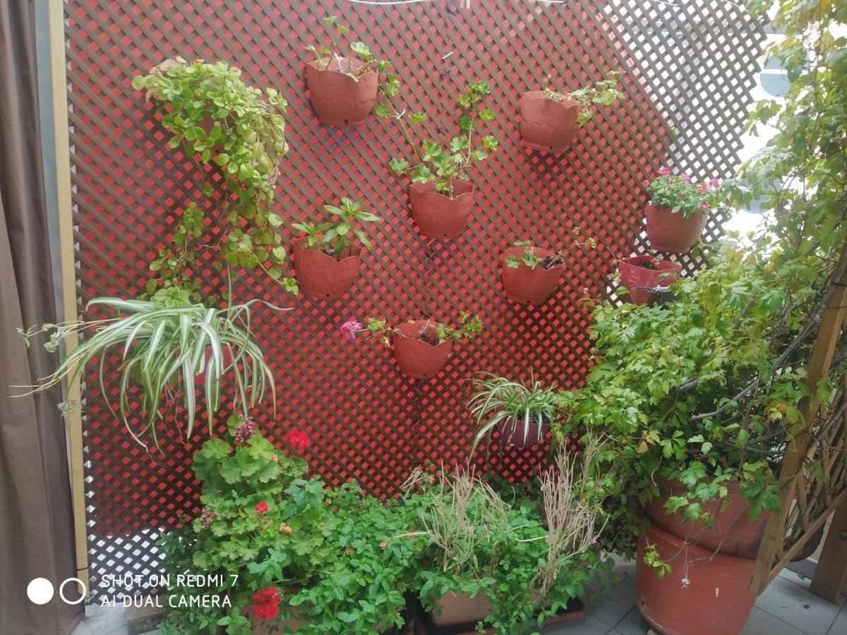 Habitación en un Ático con gran terraza al aire libre una noche 75 mas noches a 65e Burriana Esterno foto